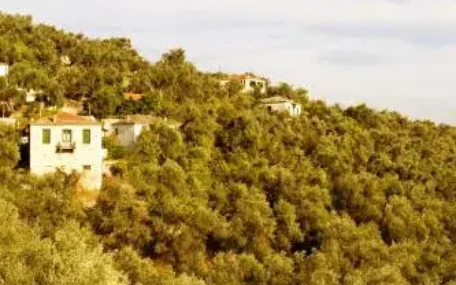 Villa Amanti