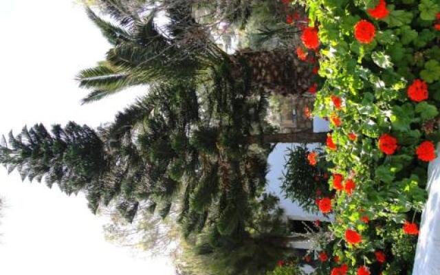 Purple Pig Stars Camping & Bungalows