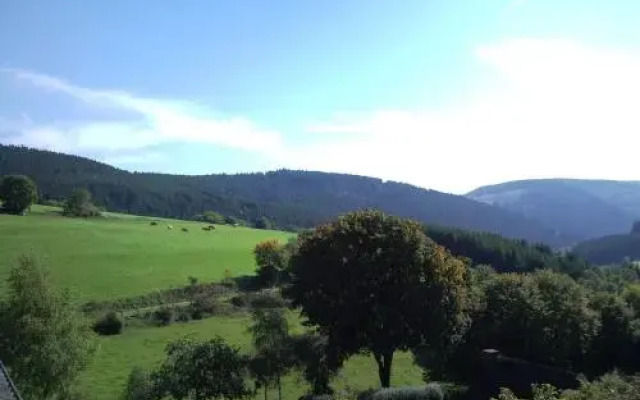 Ferienwohnungen Luge - Winterberg
