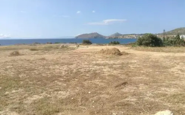 Anatoli