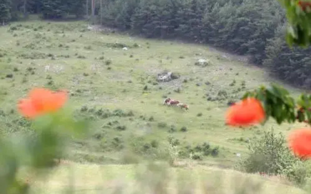 Ferme de Sejour Rebuffel