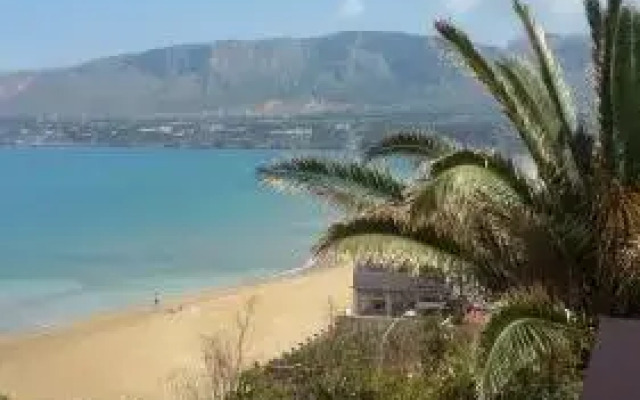 Le Palme Vacanze
