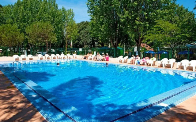 Camping  Le Bois Damour