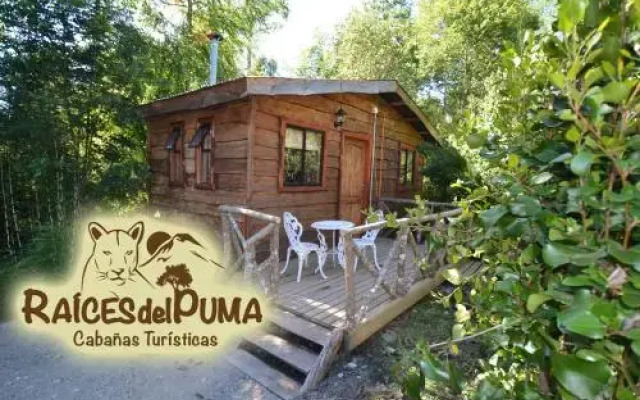 Cabañas Raices del Puma