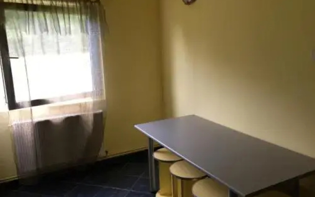 Vila Adela Transfagarasan