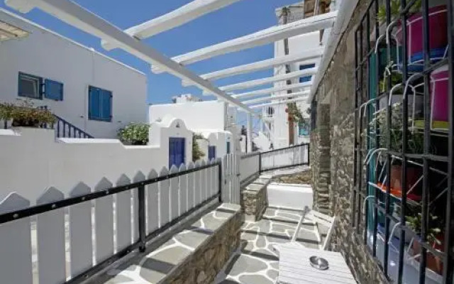 Hibiscus Rosa Mykonos