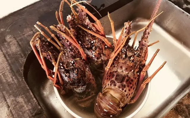 Bangalô Praia do Espelho