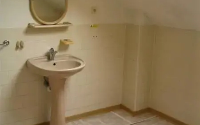 Hotel Český Dům