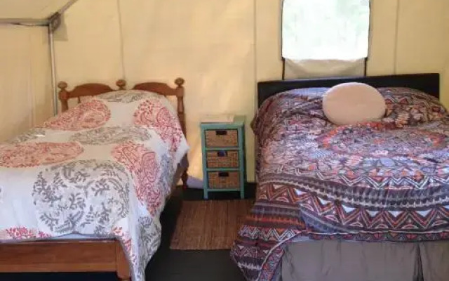 Norwegian Wood Ranch