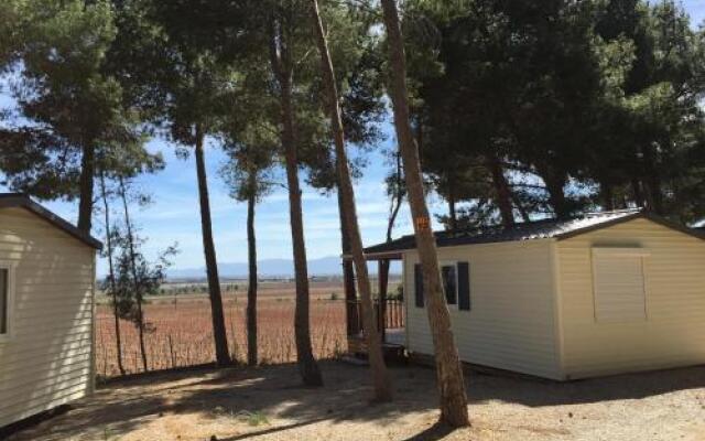Camping Le Bois De Pins