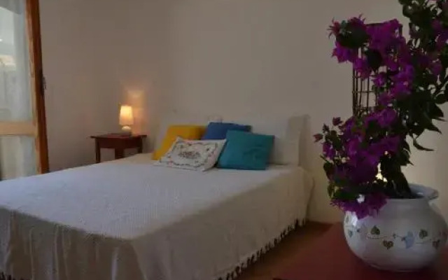 Bed and Breakfast Lloc DOr