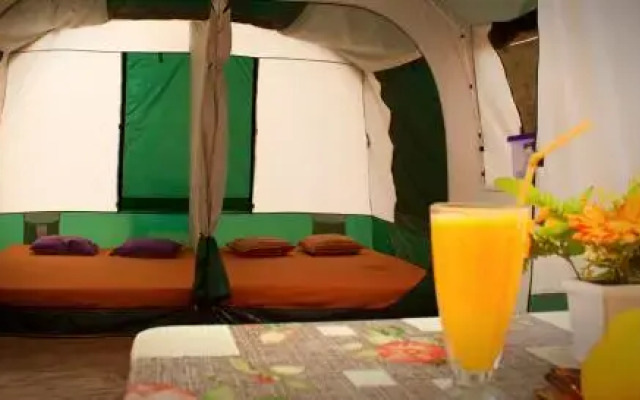 Camping Nopigia