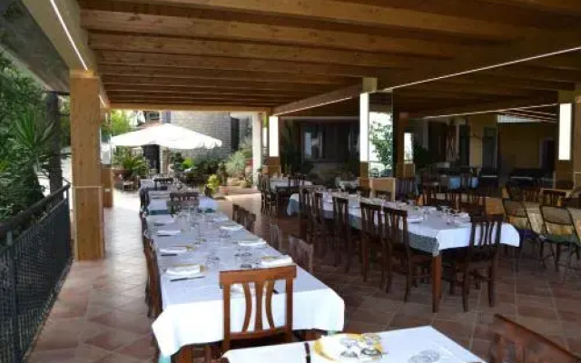 Il Falco del Cilento