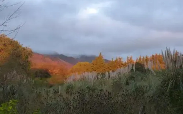 El Viejo Algarrobo - Hosteria Serrana