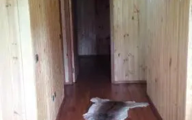 Cabaña Pucon a Huife
