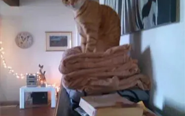 B&B Le Rivaldi la Maison vert