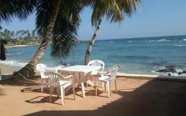 Coconut Palm Guesthouse