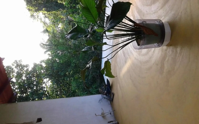 Green leaf cabanas