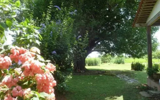 La Rosa de Los Vientos