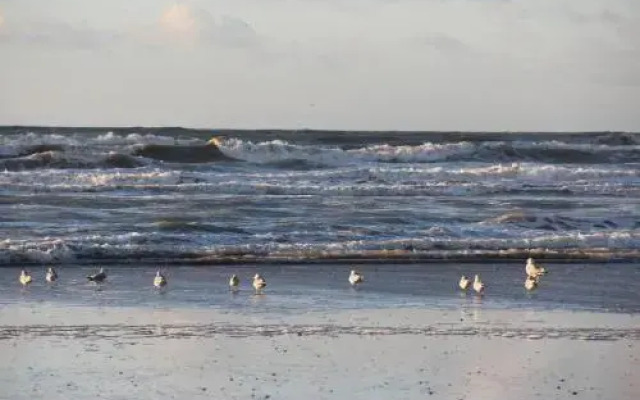 Plaisirs du bord de mer