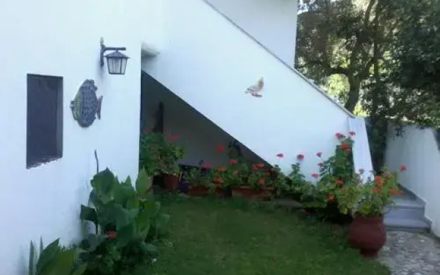 Studios Kofos Limin