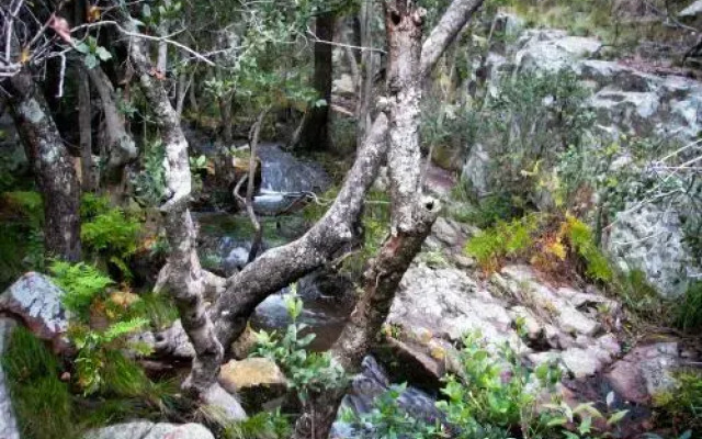 Bateleur Nature Reserve
