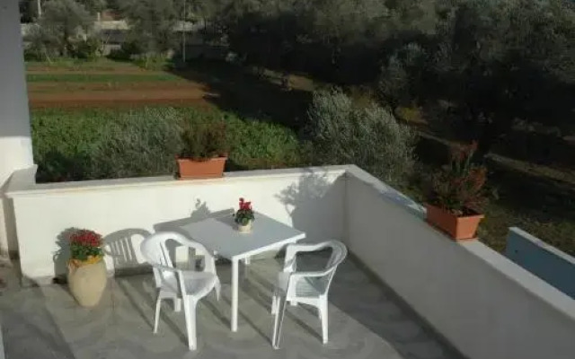 Azienda Agrituristica B&B La Torre