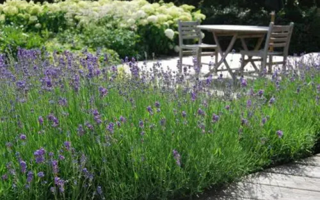 Bed and Breakfast 't Groene Genoegen