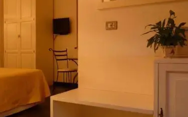 La Gerbera