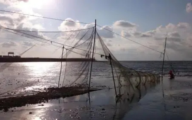 Sea La Vie