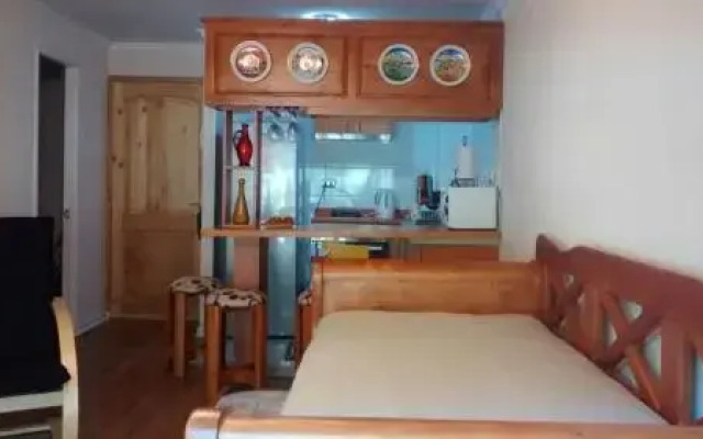 Departamento Pucón Volcán