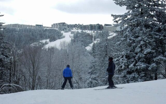 2 Br: Silvercreek 1215