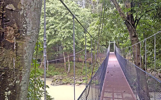 Tabin Wildlife Resort