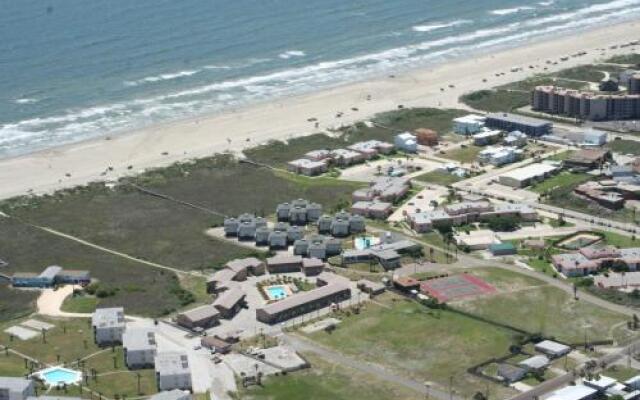 Dolphin Cove 68 by RedAwning