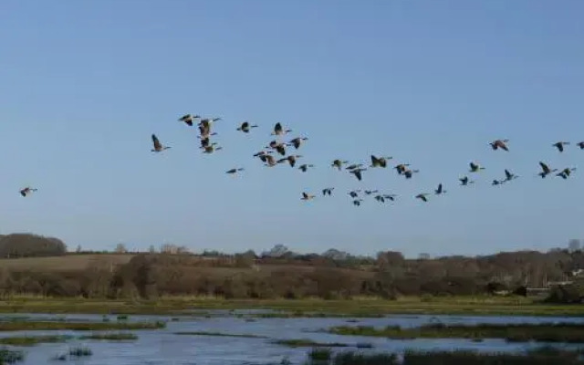 The Lodge on the Marsh