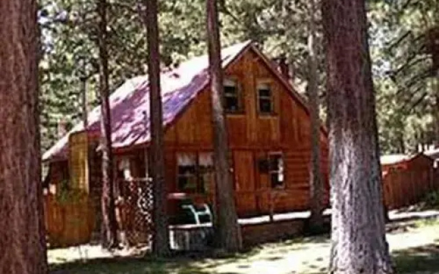2921 Freel Peak Holiday Home