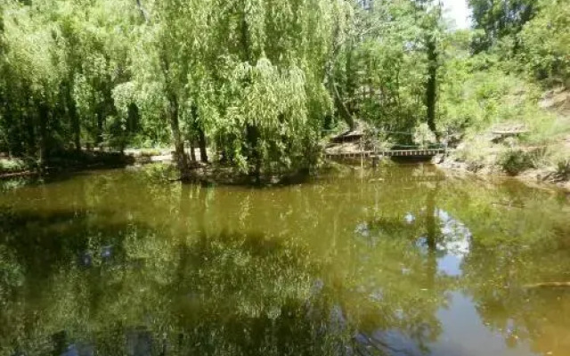 Le Lavandin