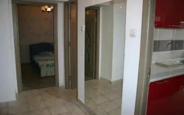 Salonul Rosu
