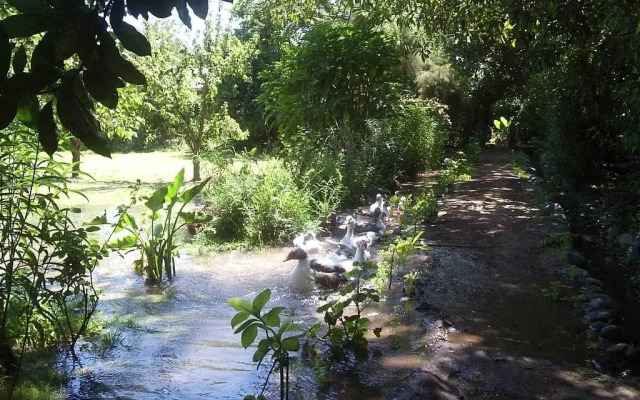 Alojamiento Rural Casa Quinta Peumayen