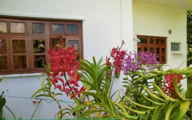 Orchid Sunset Guest House