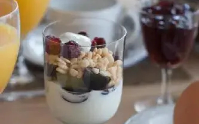 Premium Fewo Lachmöwe