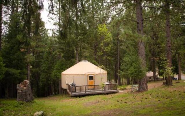 Yosemite Lakes Hillside Yurt 1