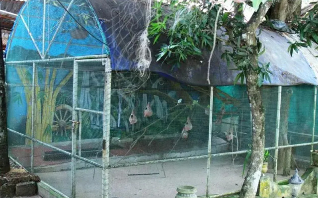 Temple View Residency