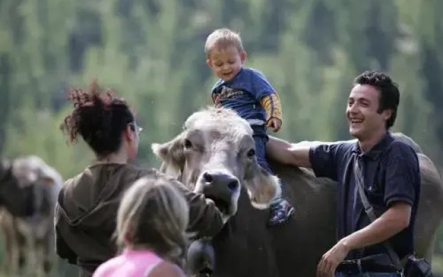 Agriturismo Stella Orobica