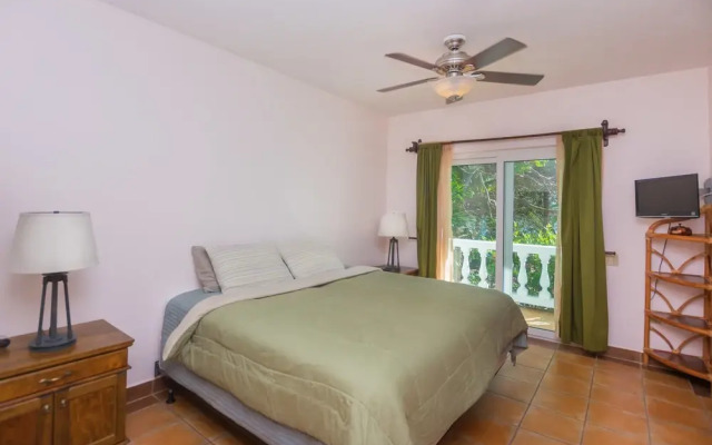 Coral Vista #5