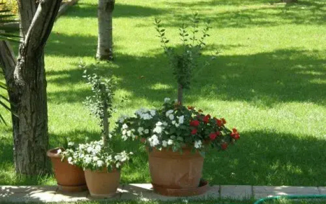 Villa Slavica