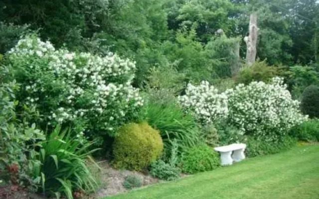 Hawthorn Lodge B&B
