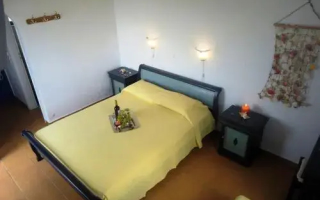 Agnantema