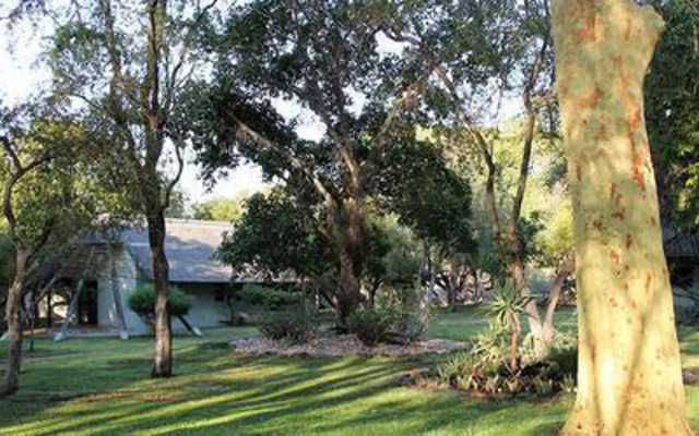 Simbavati Camp George
