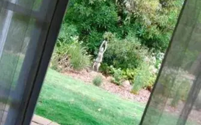 Llewellin's Guest House